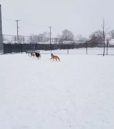 Wyandotte Dog Park - Wyandotte,