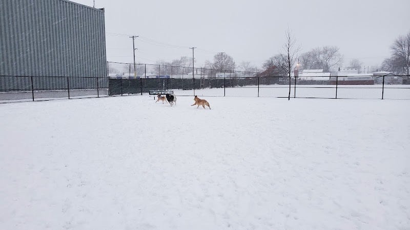 Wyandotte Dog Park - Wyandotte,