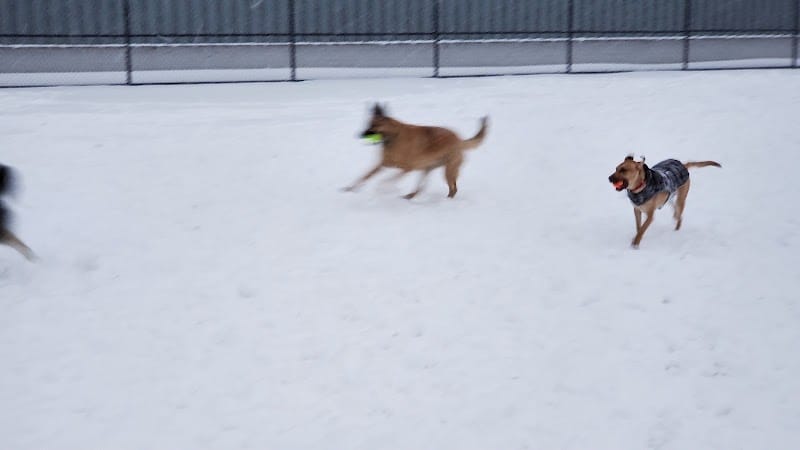 Wyandotte Dog Park - Wyandotte,