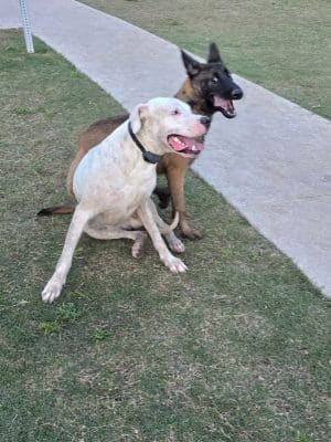 Prairie Tails Dog Park