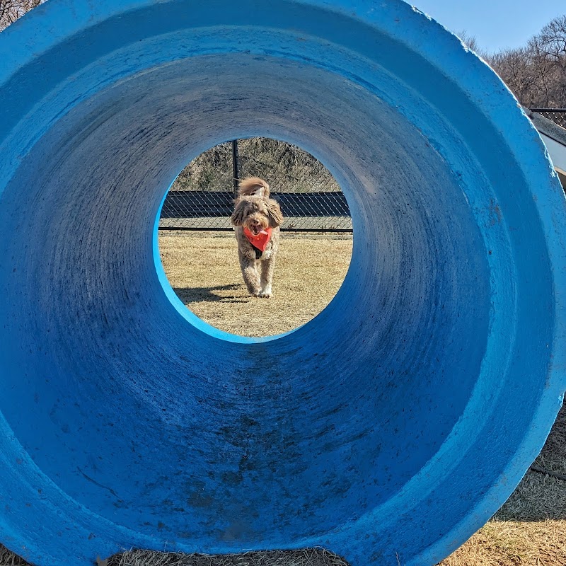 Prairie Tails Dog Park - Wylie, TX