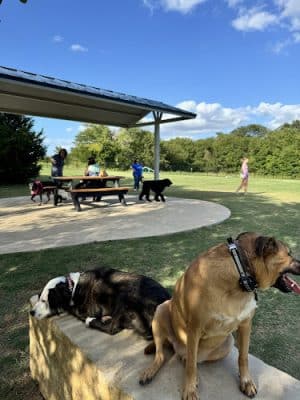 Prairie Tails Dog Park