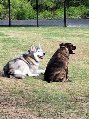 Prairie Tails Dog Park