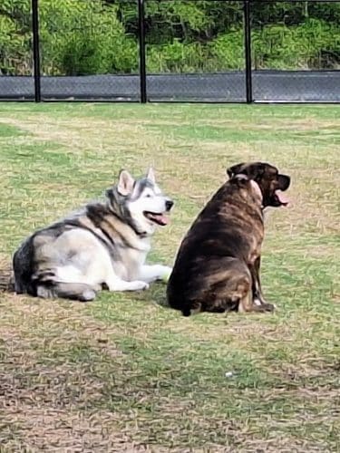 Prairie Tails Dog Park