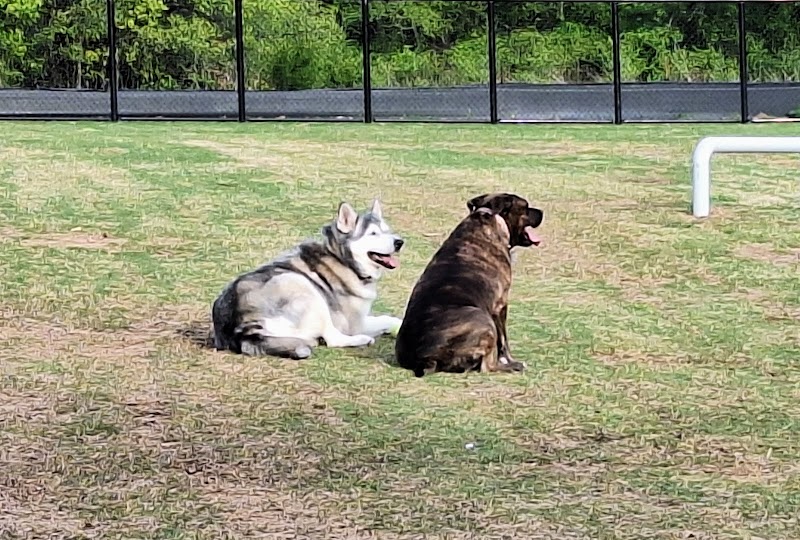 Prairie Tails Dog Park - Wylie, TX