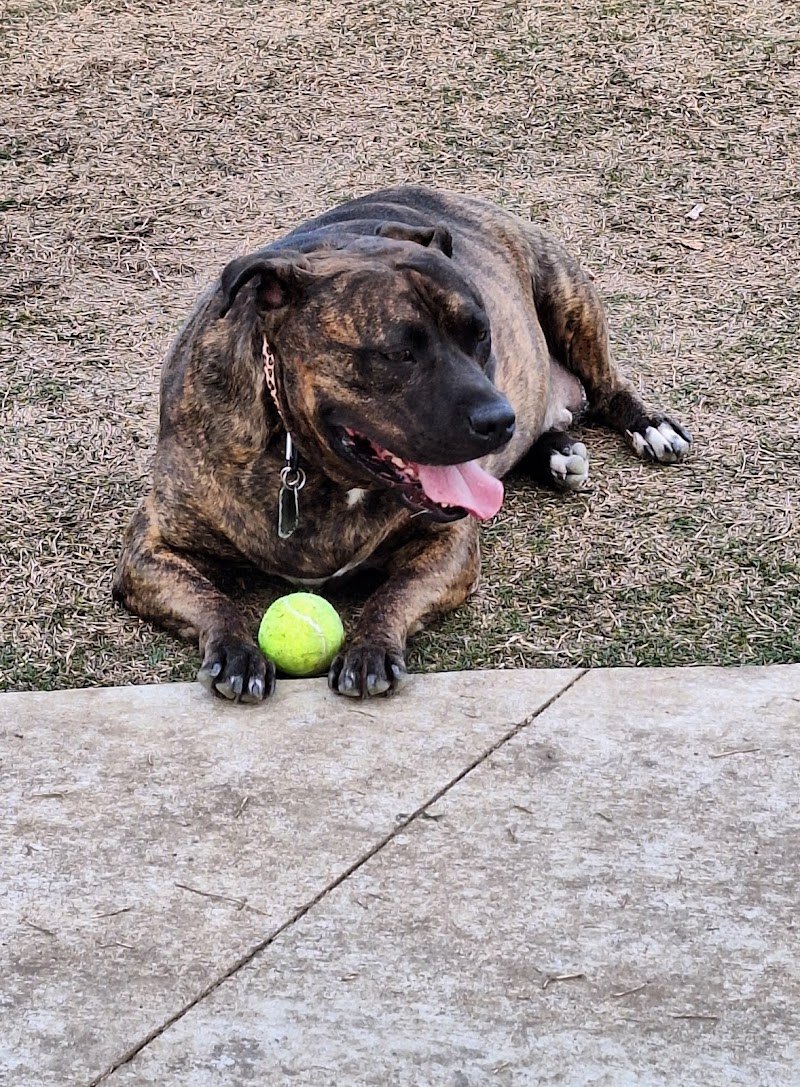 Prairie Tails Dog Park - Wylie, TX
