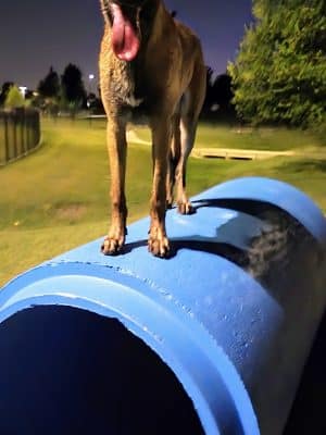 Prairie Tails Dog Park