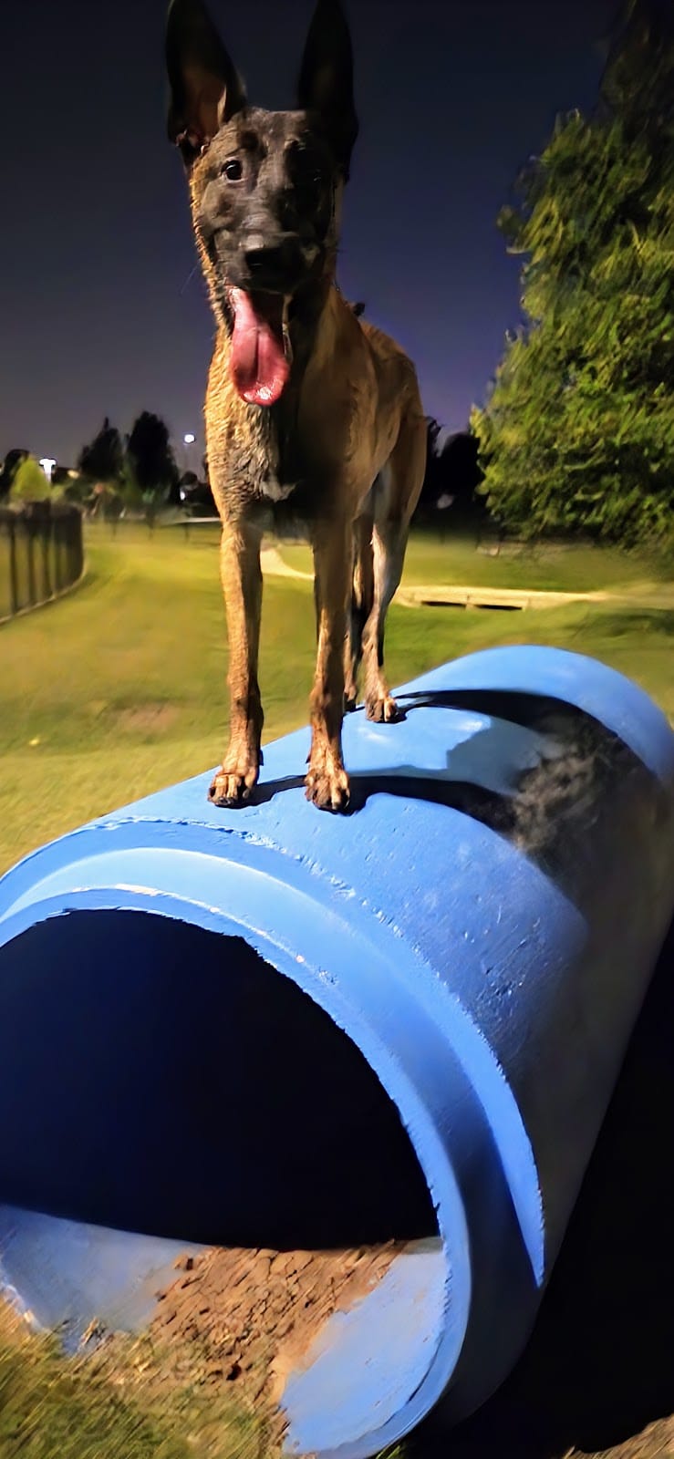 Prairie Tails Dog Park - Wylie, TX
