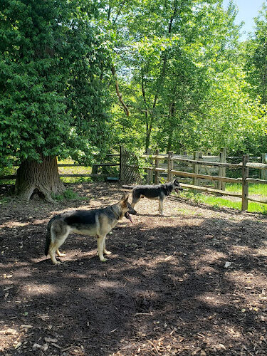 Curtis Dog Park