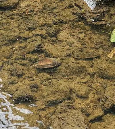 Yale City Park - Yale,