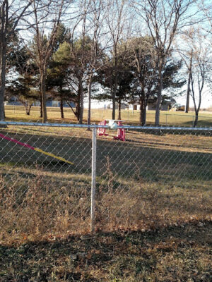 Dog Park