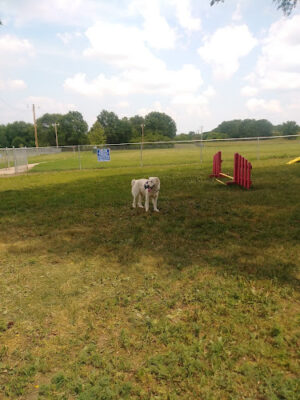 Marne Creek West Dog Park