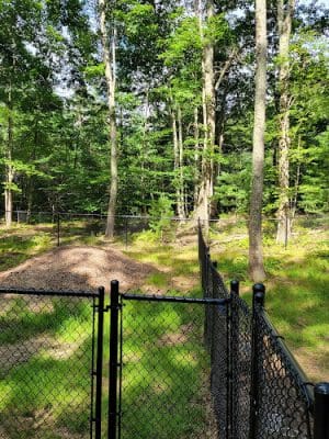 York Dog Park