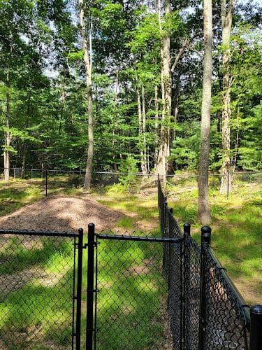 York Dog Park