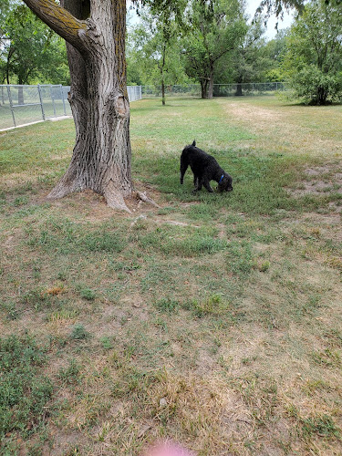Dog Park