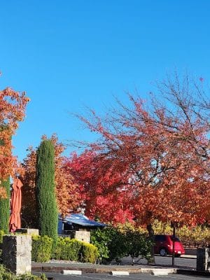 Veterans Park