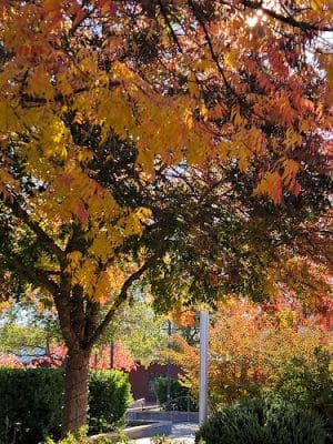 Veterans Park