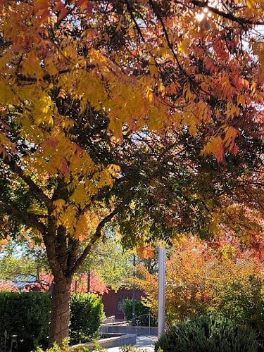 Veterans Park