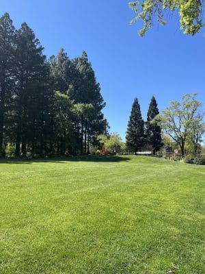 Veterans Park