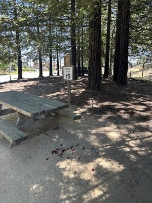 Veterans Park