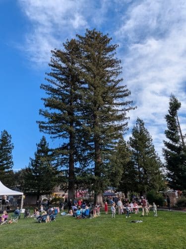 Yountville Park