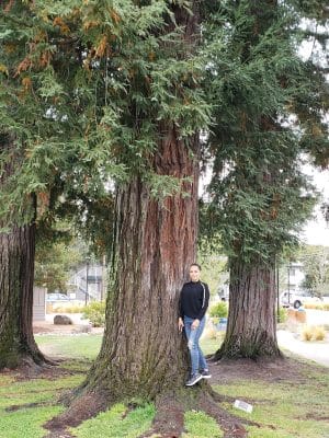 Yountville Park