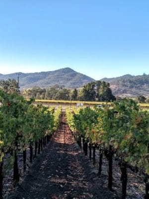 Yountville Park