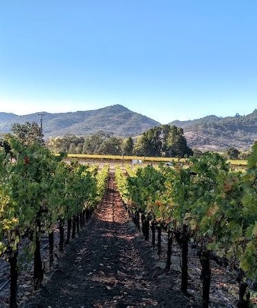 Yountville Park
