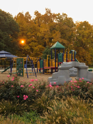Hickory Woods Park