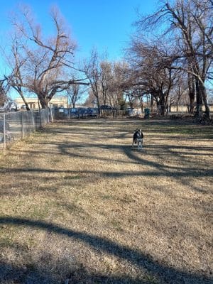 Pets and People Dog Park