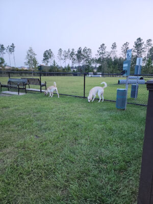 Pawsome Park (Tributary-Residents Only)