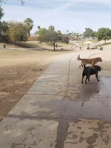 Dog Bark Park - Yuma, AZ