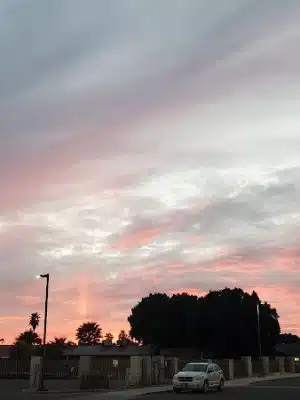 Dog Bark Park - Yuma, AZ