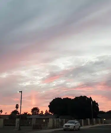 Dog Bark Park - Yuma, AZ