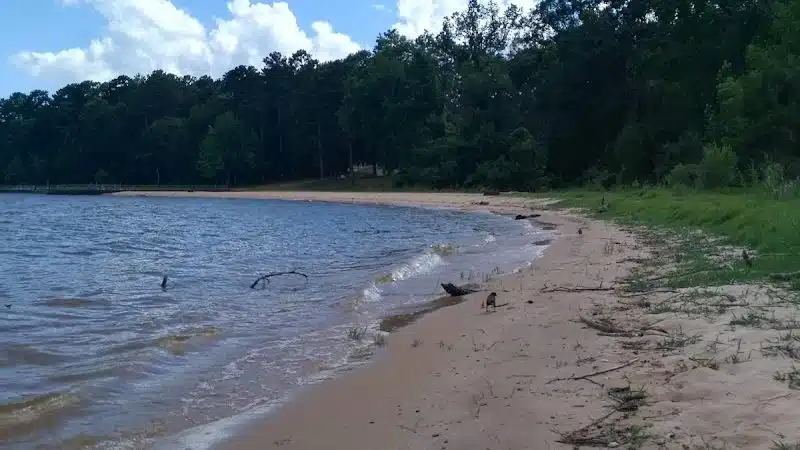 Highland Park - Abbeville, AL