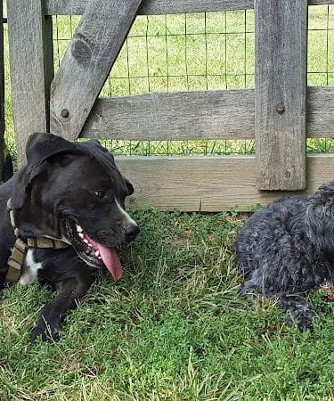 Grove Run Dog Park