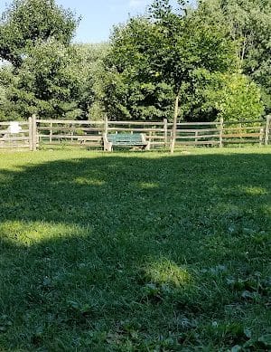 Grove Run Dog Park