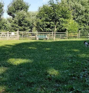 Grove Run Dog Park