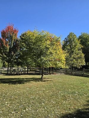 Grove Run Dog Park