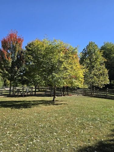 Grove Run Dog Park