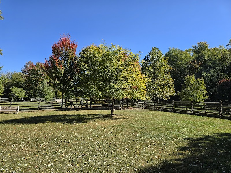 Grove Run Dog Park - Abington, PA