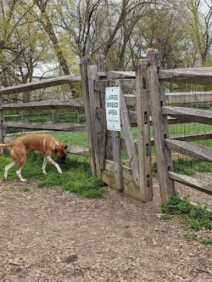 Grove Run Dog Park
