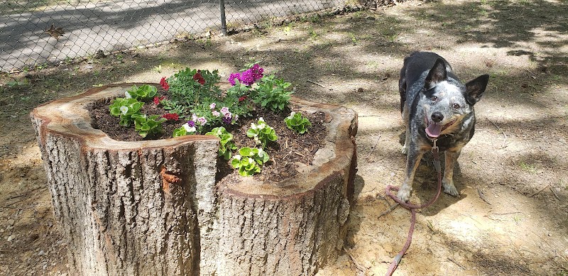 Adamsville Bark Park - Adamsville, AL