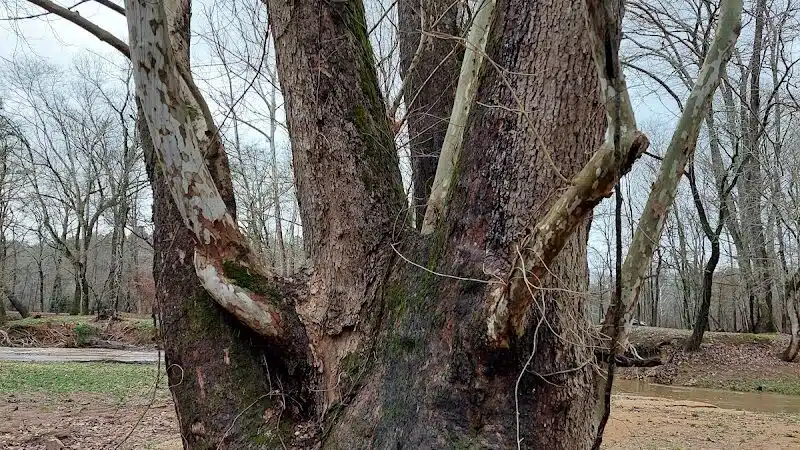 Risers Park - Alpine, AL