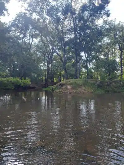 Risers Park - Alpine, AL