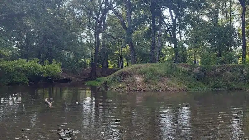 Risers Park - Alpine, AL