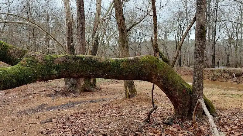 Risers Park - Alpine, AL
