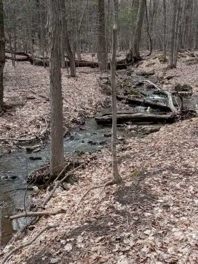 Glen Doone Pavilion - Altamont, NY