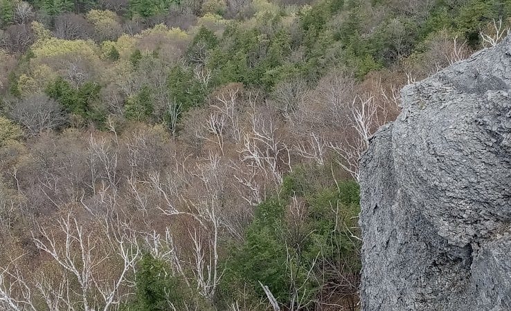 Glen Doone Pavilion - Altamont, NY
