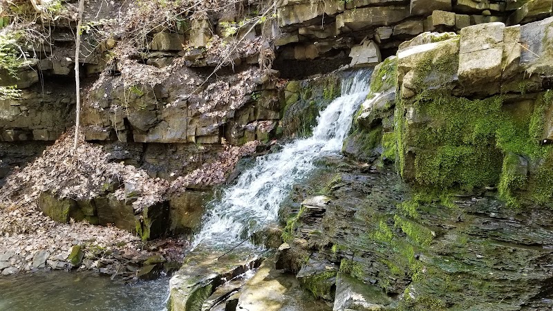 Wolf Creek Falls Preserve - Altamont, NY